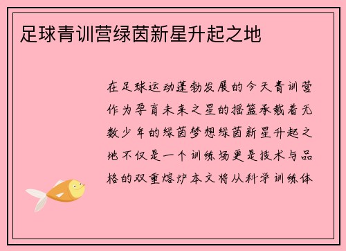 足球青训营绿茵新星升起之地